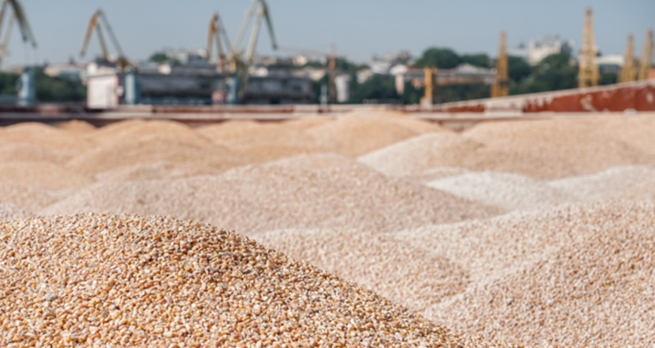 Євросоюз втрутився у скандал з краденим українським зерном в Ізраїлі, - Reuters